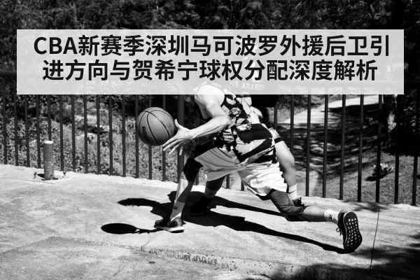 CBA新赛季深圳马可波罗外援后卫引进方向与贺希宁球权分配深度解析